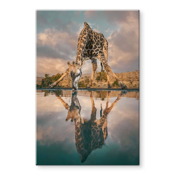 Glasbild Reflexion einer Giraffe in der Wildnis - Amtmann