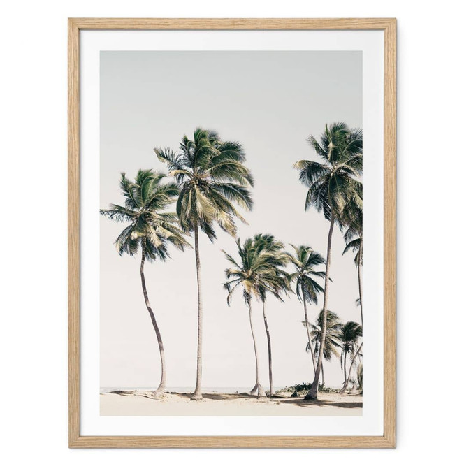 Poster Tropische Palmen am Strand | Inselflair im Sommer - Sisi & Seb