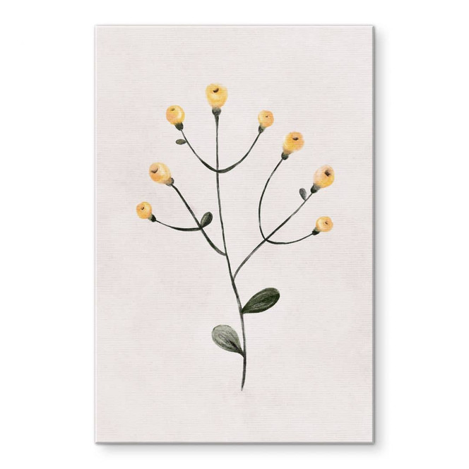 Acrylglasbild Zarte Pflanze mit gelben Blüten - Goed Blauw