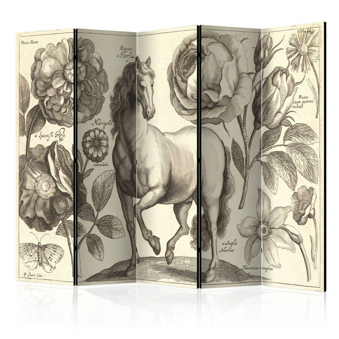 Paravent, Raumteiler freistehend, Trennwand - Pferd, 5-teilig - 225 x 172 cm