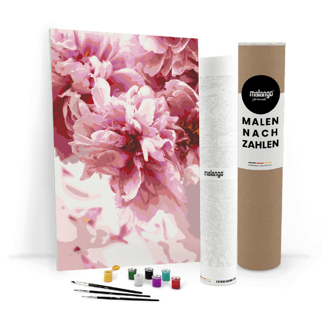 Malen nach Zahlen Leinwandbild - Rosen zur Blüte