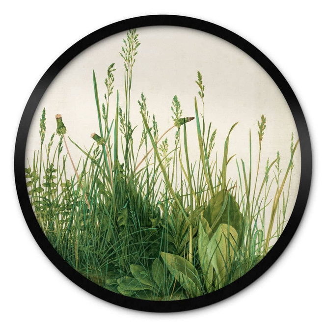 Poster Dürer - Das grosse Rasenstück - Rund