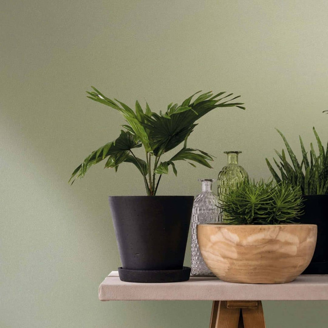 Vliestapete Uni, Struktur Uni Modern matt in Grün