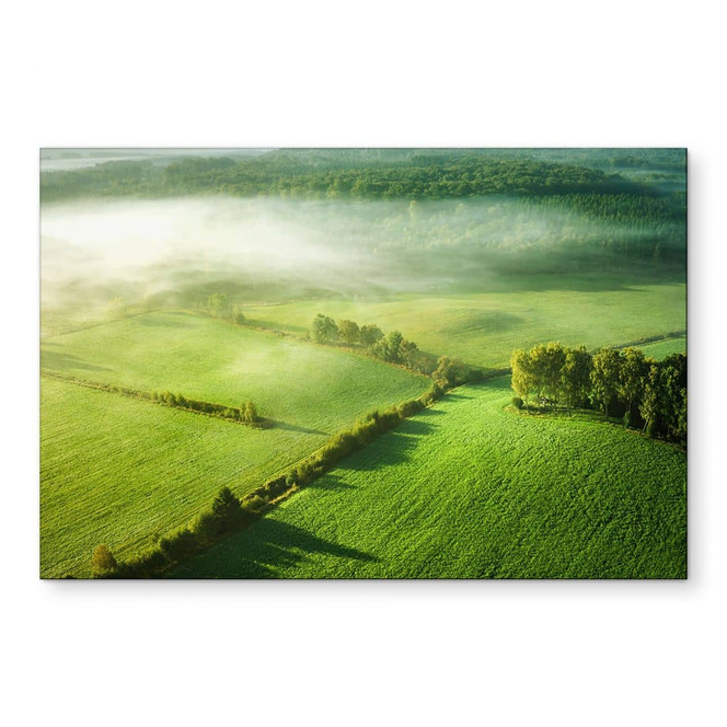 Wandbild Idyllische Felder im Nebel - Keller - Alu-Dibond