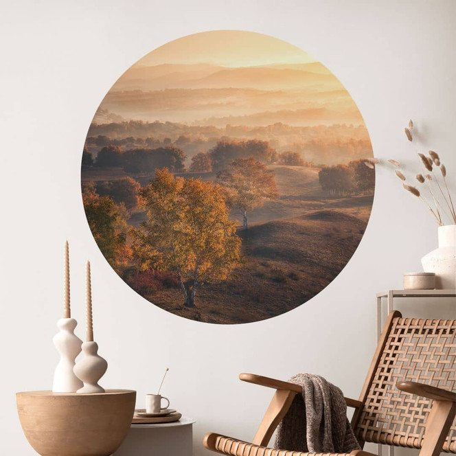 Wandtattoo Birkenbäume im goldenen Morgentau - Cui - Rund