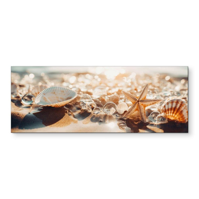 Wandbild Muscheln am sonnigen Strand - Treechild - Alu-Dibond Panorama