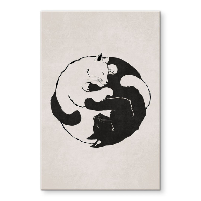 Acrylglasbild Katzen Ying & Yang - Tunaboylu