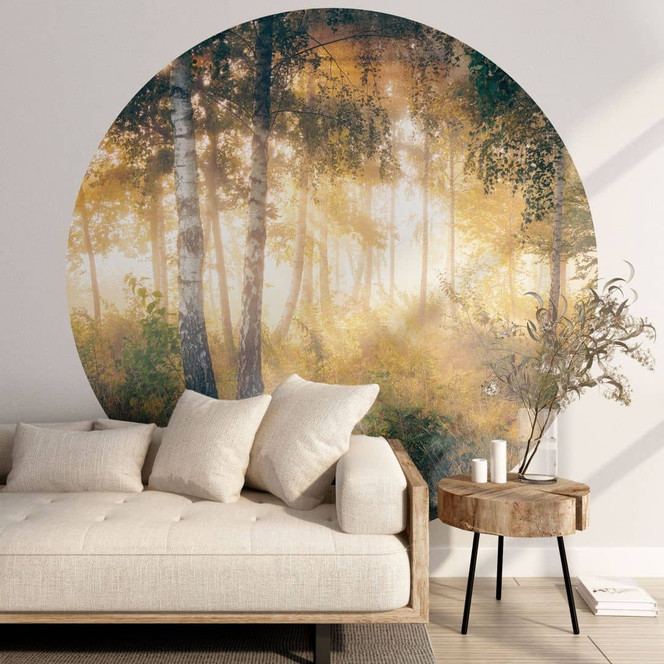 Fototapete Sonnenschein im Birkenwald - Waldtapete - Kado - Rund - Selbstklebend/Vlies