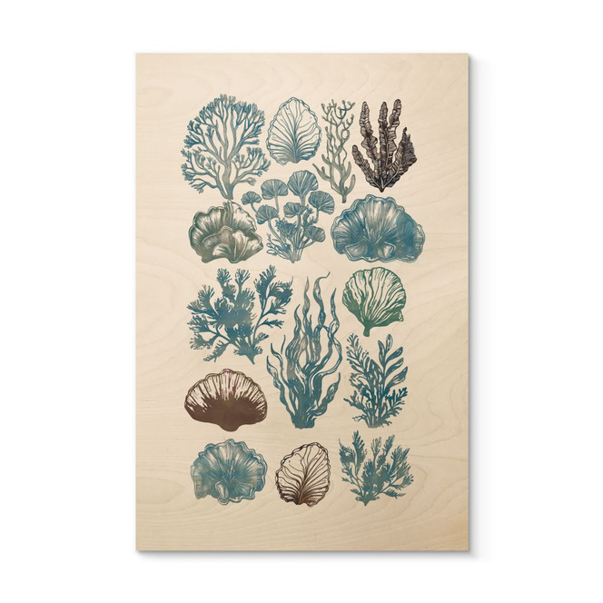Holzbild Filigrane Algen und Muscheln - casa cartissi