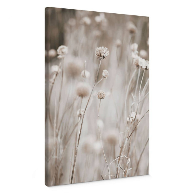 Leinwandbild Getrocknete Blüten in sanften Tönen - Annie