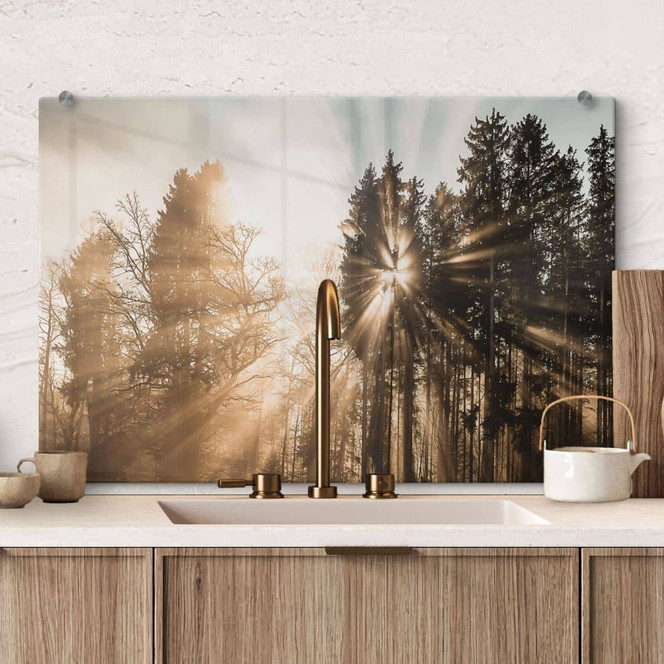 Spritzschutz Lichtstrahlen im Wald - Eisenmann