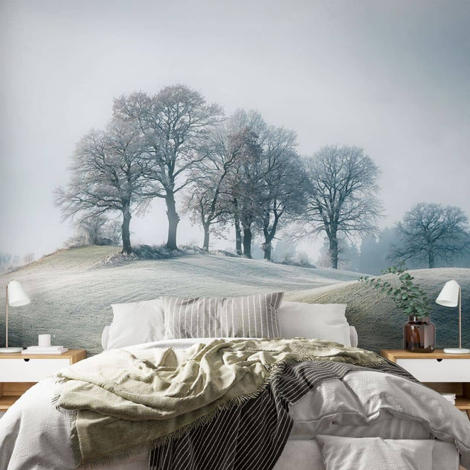 Fototapete Frostige Hügellandschaft | Naturlandschaft für Wohn- und Schlafzimmer - Eisenmann