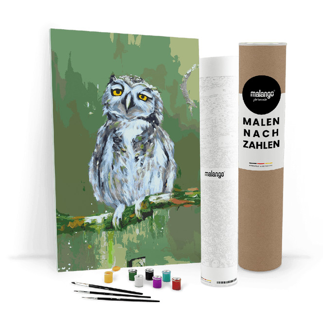 Malen nach Zahlen Leinwandbild - Eule Eva