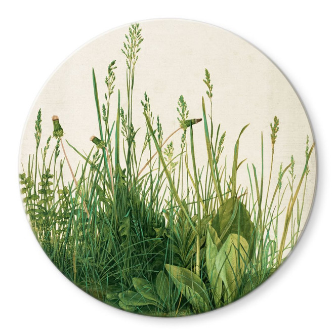 Glasbild Dürer - Das grosse Rasenstück