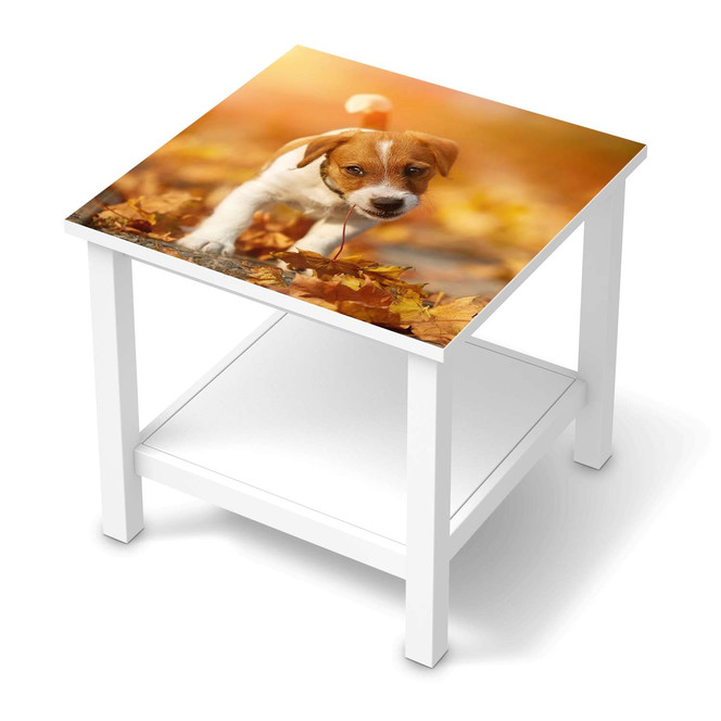 Möbel Klebefolie IKEA Hemnes Tisch 55x55cm - Jack the Puppy- Bild 1