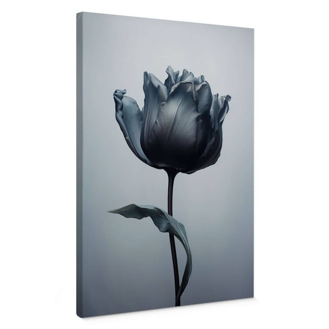 Leinwandbild Samtige Tulpe in Schwarz - Paksoylu