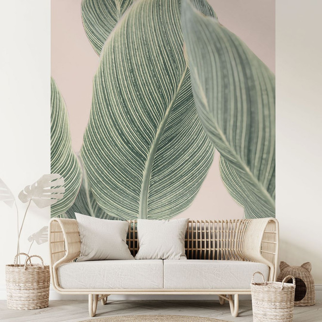 Fototapete Calathea Pflanze - Sisi & Seb