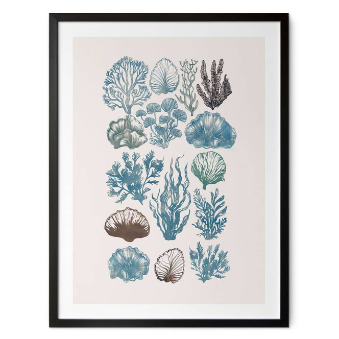 Poster Filigrane Algen und Muscheln - casa cartissi