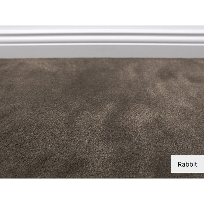 Emily Velours Teppichboden Meterware in Rabbit