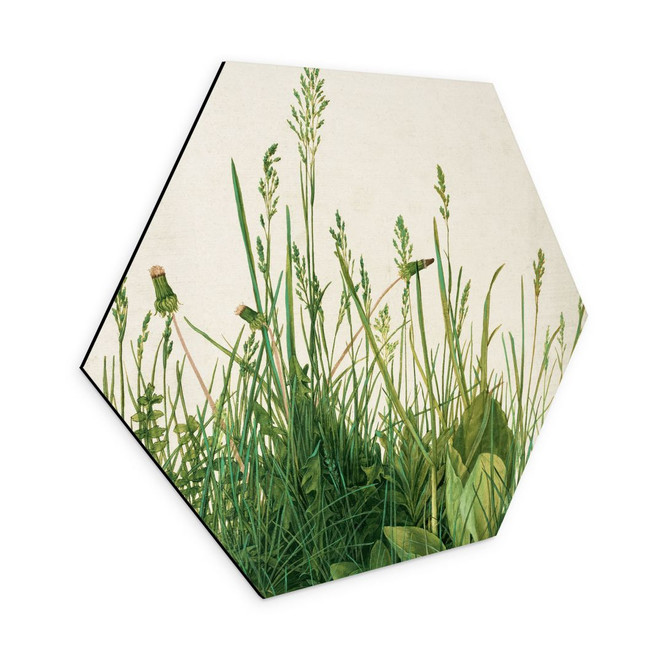 Hexagon - Alu-Dibond Dürer - Das grosse Rasenstück