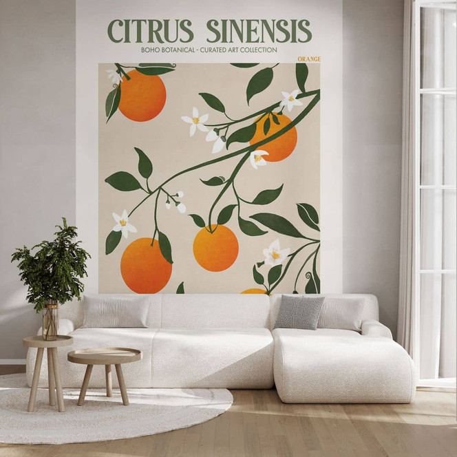 Fototapete Boho Orangenbaum - Citrus Sinensis - Tunaboylu