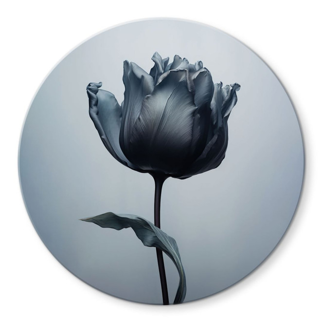 Glasbild Samtige Tulpe in Schwarz - Paksoylu - Rund