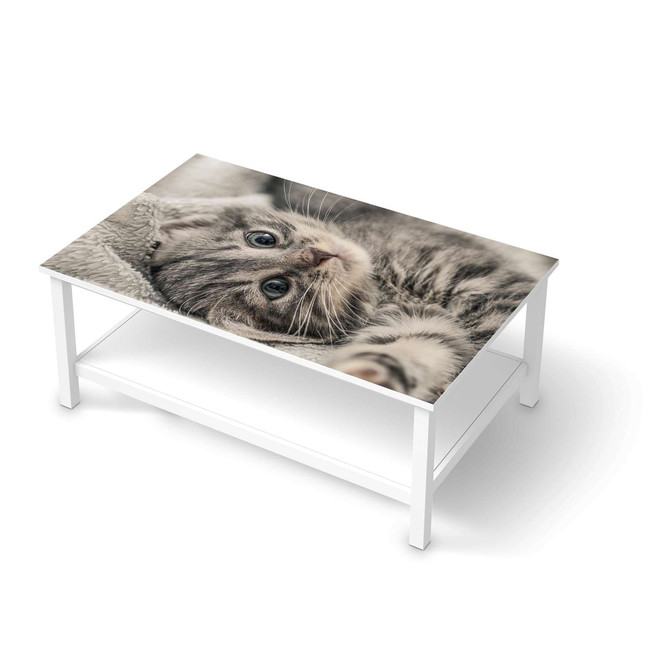 Möbelfolie IKEA Hemnes Tisch 118x75cm - Kitty the Cat- Bild 1