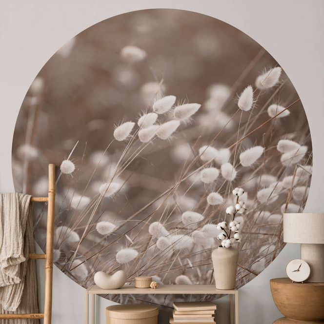 Fototapete Zarte Gräser im Herbstlicht - Collins - Rund - Selbstklebend/Vlies