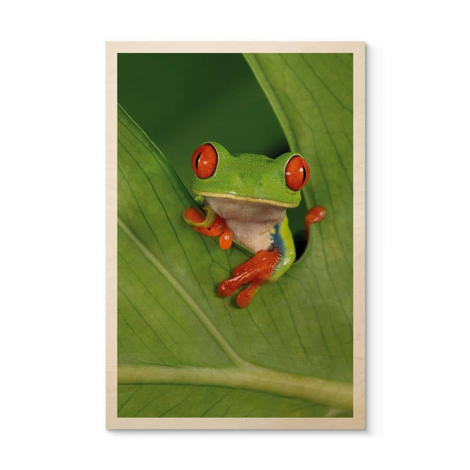 Holzbild Laubfrosch im Regenwald - van Duijn