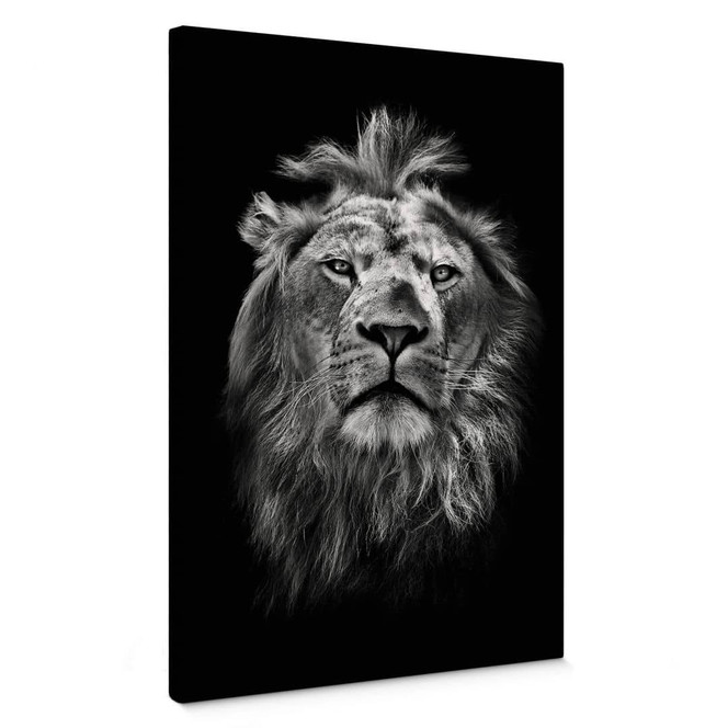 Leinwandbild Lion
