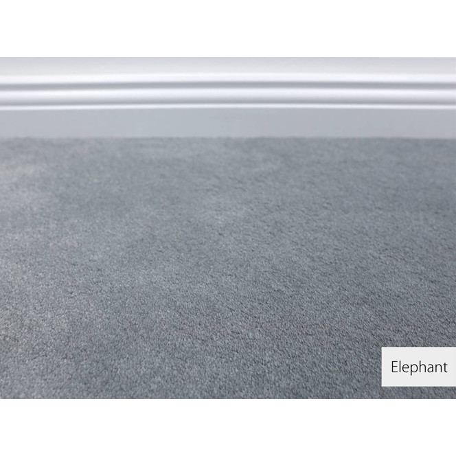 Emily Velours Teppichboden | Meterware | Elephant