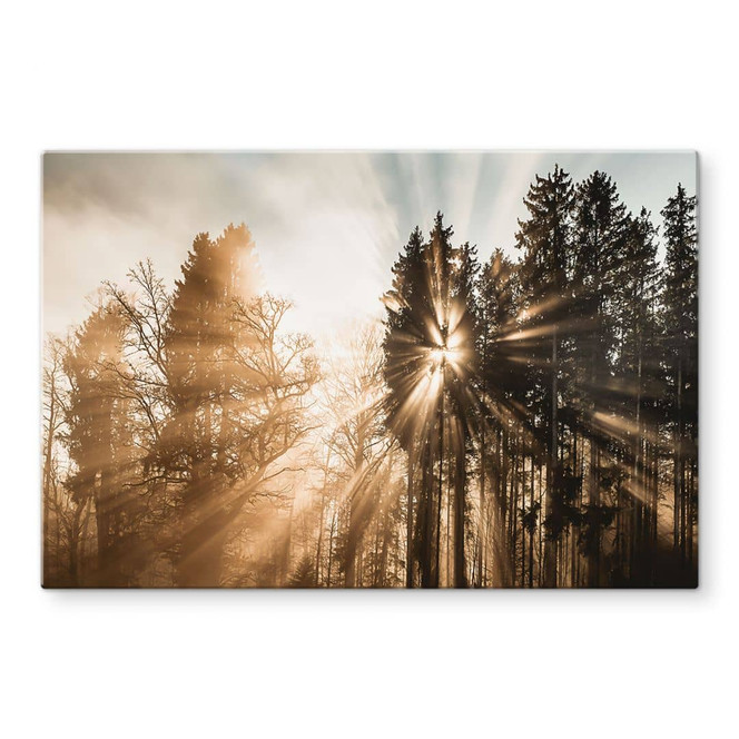 Glasbild Lichtstrahlen im Wald - Eisenmann