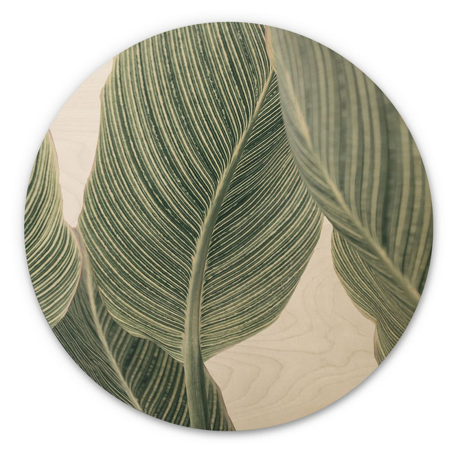 Holzbild Calathea Pflanze - Sisi & Seb - Rund