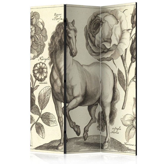 Paravent, Raumteiler freistehend, Trennwand - Pferd, 3-teilig - 135 x 172 cm