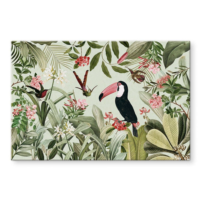 Acrylglasbild Tukan im Dschungel-Paradies - UN Designs