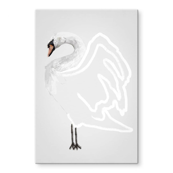 Acrylglasbild Schwan Illustration - Roberg