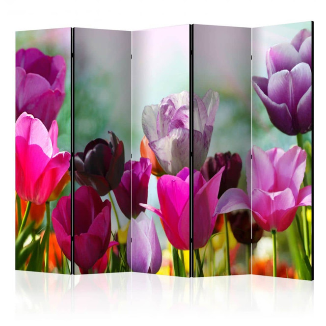 Paravent, Raumteiler freistehend, Trennwand - Wunderbare Tulpen , 5-teilig - 225 x 172 cm