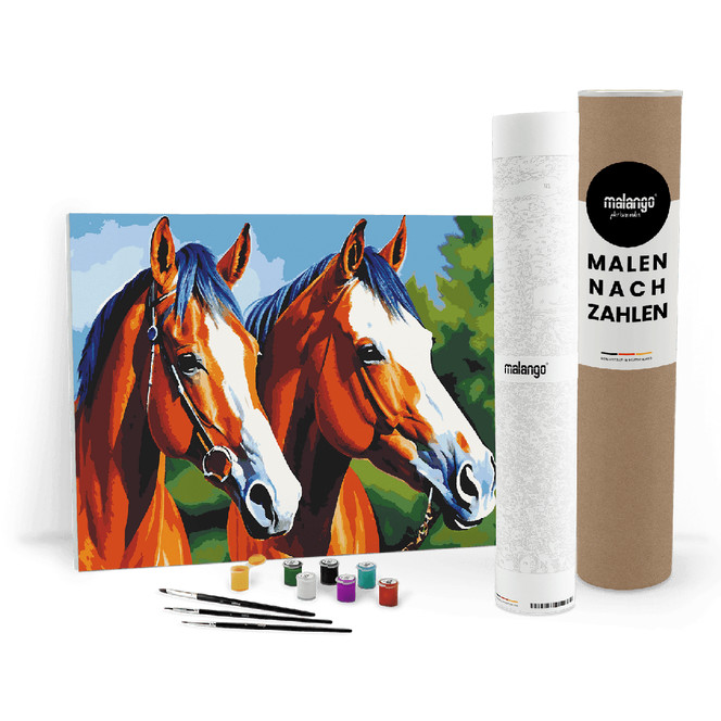 Malen nach Zahlen Leinwandbild - Pferde Pegasus und Penelope