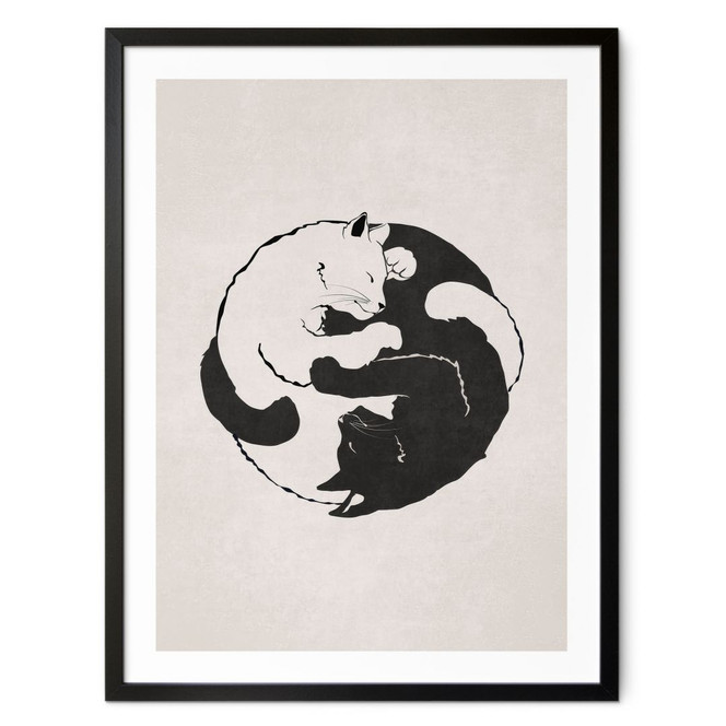 Poster Katzen Ying & Yang - Tunaboylu