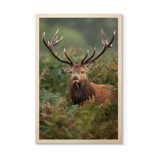 Holzbild Rothirsch - Wächter des Waldes - van Duijn