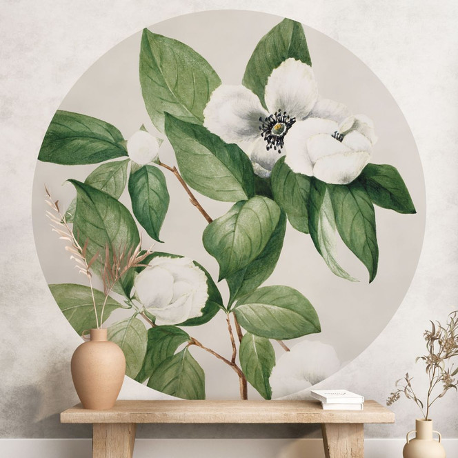Fototapete Botanik Illustration einer Scheinkamelie - Walcott - Rund - Selbstklebend/Vlies