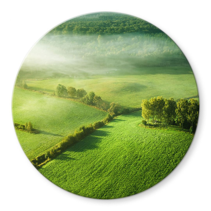 Glasbild Idyllische Felder im Nebel - Keller - Rund - WA432255
