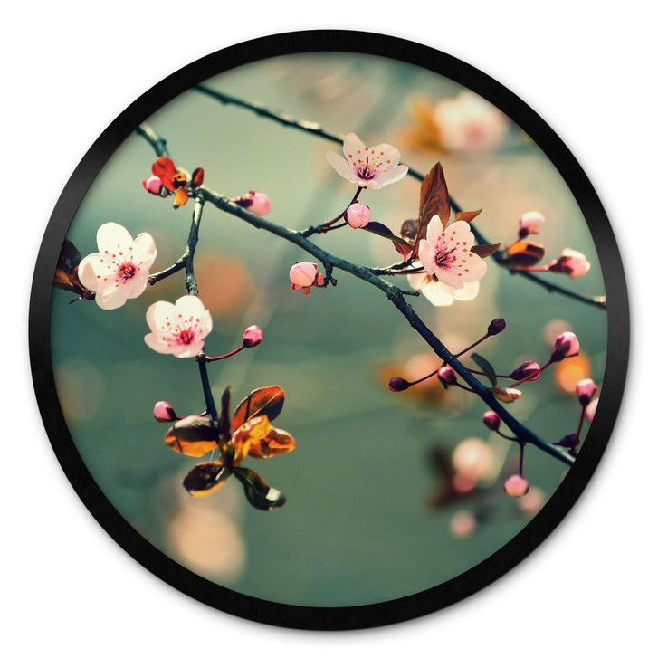 Poster Frühlingserwachen - Rund - WA460322