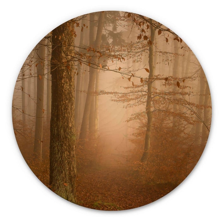 Holzbild Dunst und Licht im herbstlichen Wald - Maier - Rund - WA449751