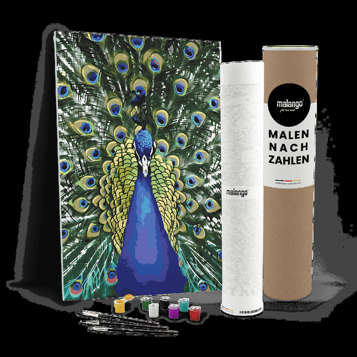 Malen nach Zahlen Leinwandbild - Pfau Paco - WA447474