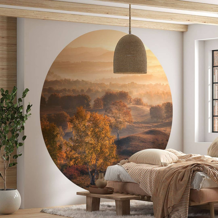 Fototapete Birkenbäume im goldenen Morgentau | Natur Landschaft - Cui - Rund - Selbstklebend/Vlies - WA456122