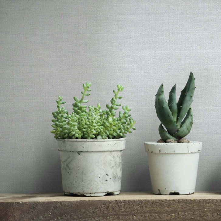 Vliestapete Texturiert Uni Modern in Grau - WA472939