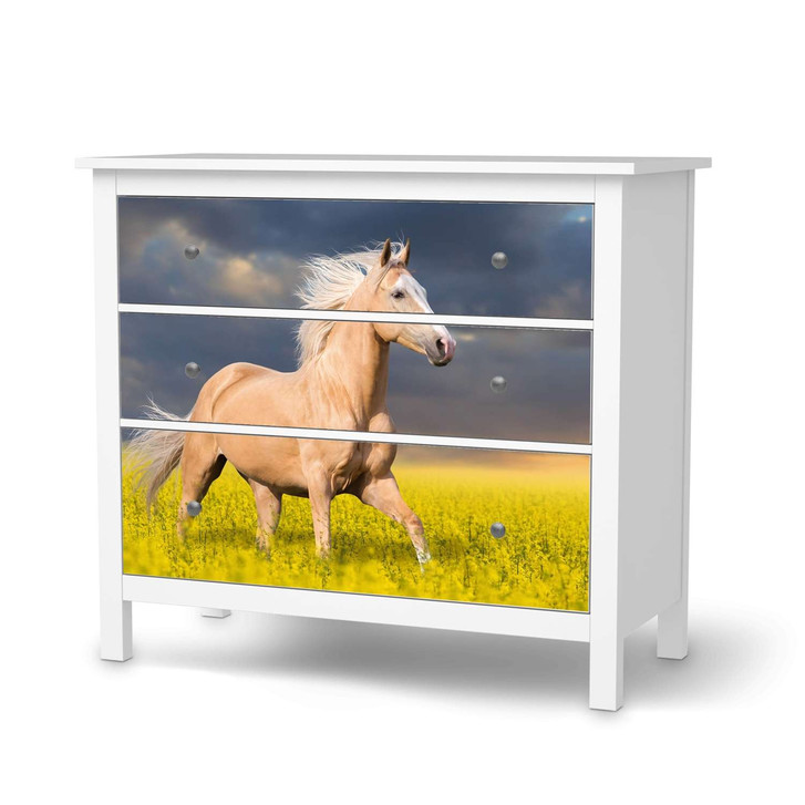 Möbelfolie IKEA Hemnes Kommode 3 Schubladen - Wildpferd - CR114811