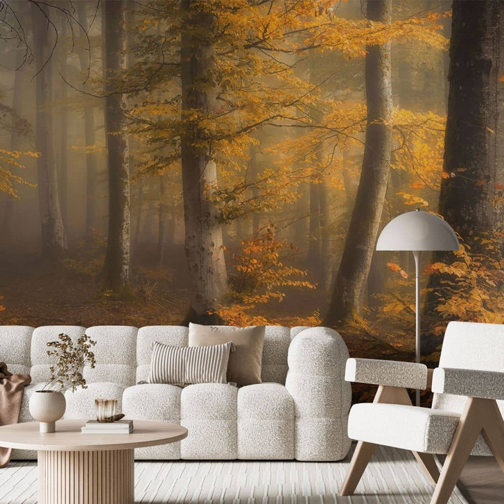 Fototapete Waldtapete - Goldene Blätter im nebligen Wald - Maier - WA443505