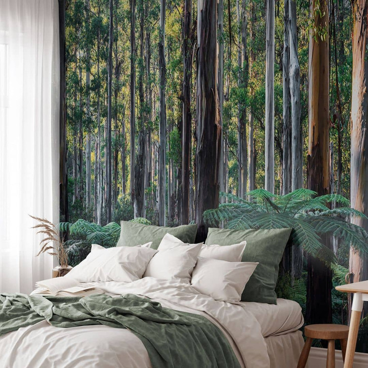 Natur Fototapete Eukalyptuswald in den Yarra Ranges - Colombo - WA466777